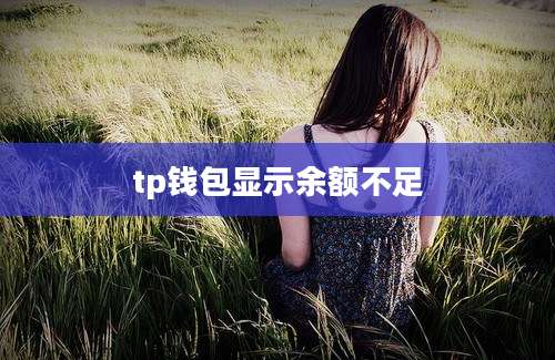 tp钱包显示余额不足
