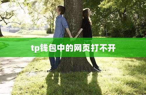 tp钱包中的网页打不开