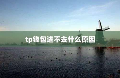 tp钱包进不去什么原因