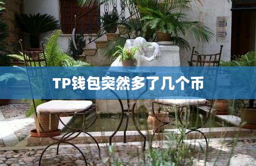 TP钱包突然多了几个币