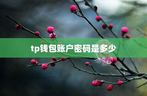 tp钱包账户密码是多少