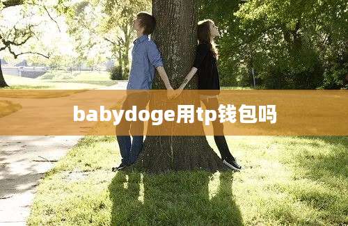 babydoge用tp钱包吗