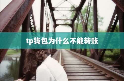 tp钱包为什么不能转账