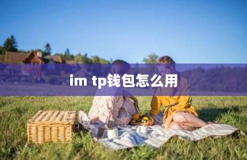 im tp钱包怎么用