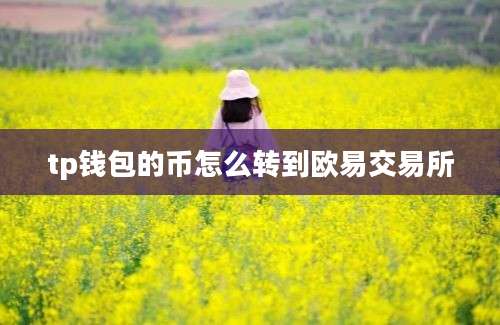 tp钱包的币怎么转到欧易交易所
