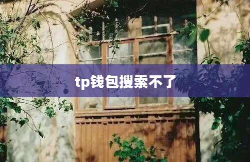 tp钱包搜索不了