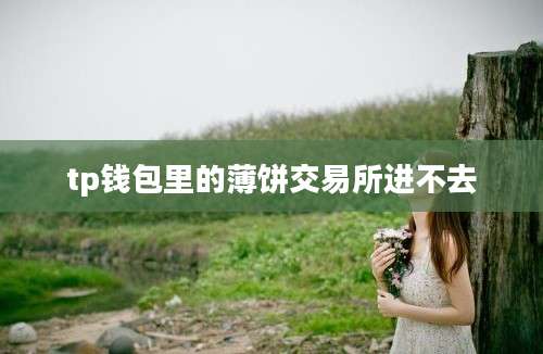tp钱包里的薄饼交易所进不去