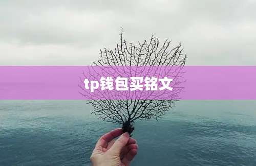 tp钱包买铭文