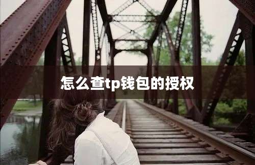 怎么查tp钱包的授权