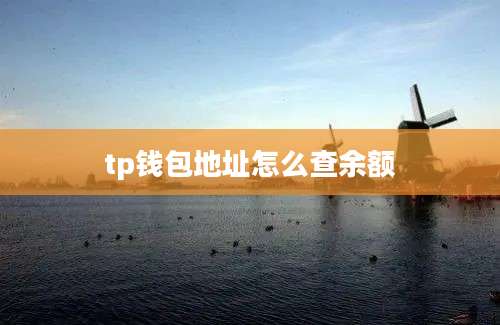 tp钱包地址怎么查余额