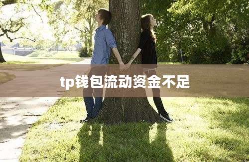 tp钱包流动资金不足