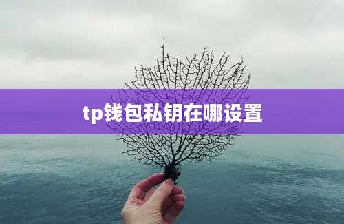 tp钱包私钥在哪设置