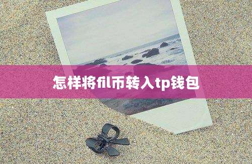 怎样将fil币转入tp钱包