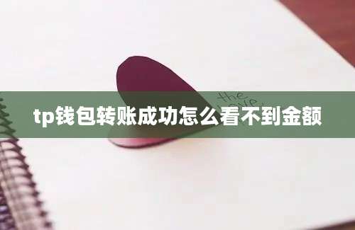 tp钱包转账成功怎么看不到金额