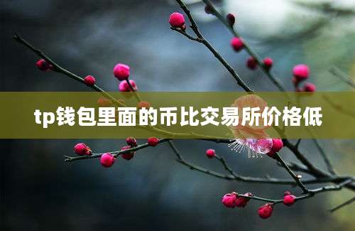 tp钱包里面的币比交易所价格低