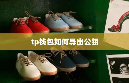 tp钱包如何导出公钥