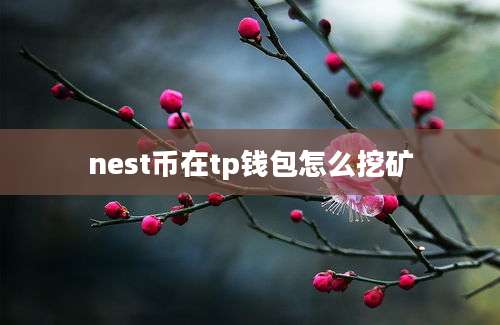 nest币在tp钱包怎么挖矿
