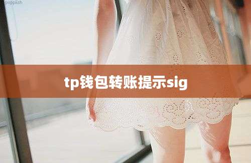 tp钱包转账提示sig