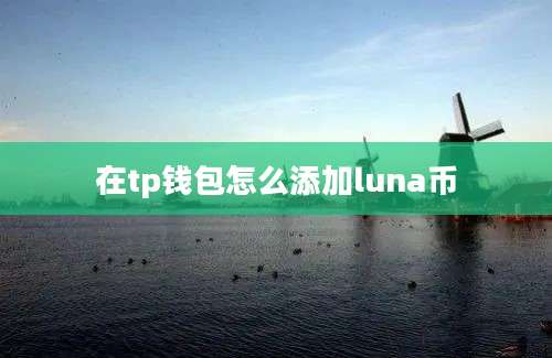 在tp钱包怎么添加luna币