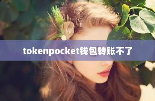 tokenpocket钱包转账不了