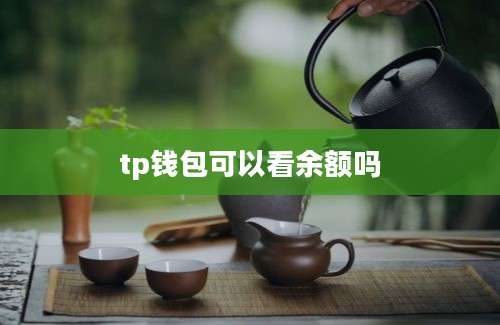 tp钱包可以看余额吗
