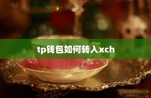 tp钱包如何转入xch
