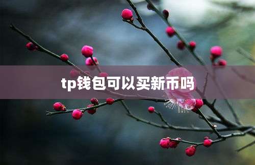 tp钱包可以买新币吗