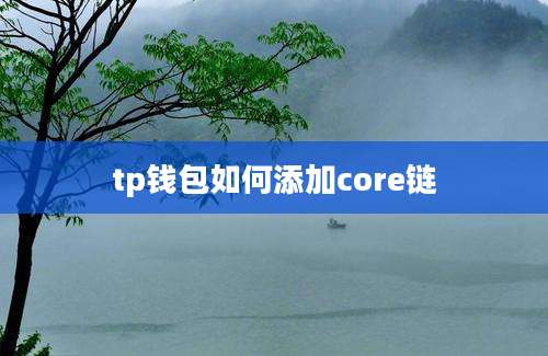 tp钱包如何添加core链