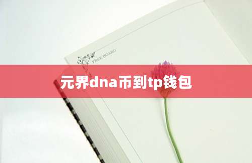 元界dna币到tp钱包