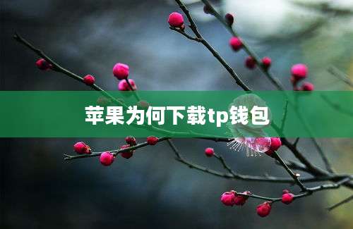 苹果为何下载tp钱包