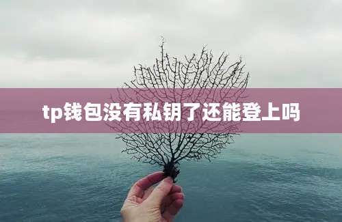 tp钱包没有私钥了还能登上吗
