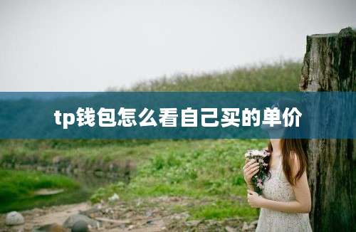 tp钱包怎么看自己买的单价