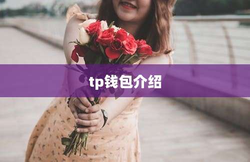 tp钱包介绍