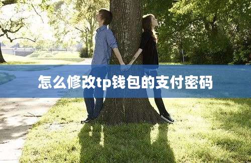 怎么修改tp钱包的支付密码