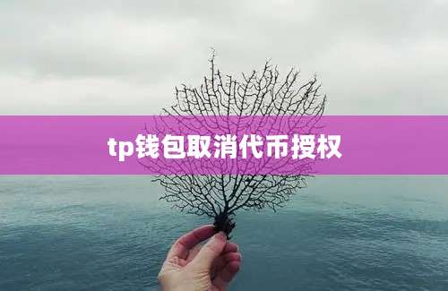 tp钱包取消代币授权