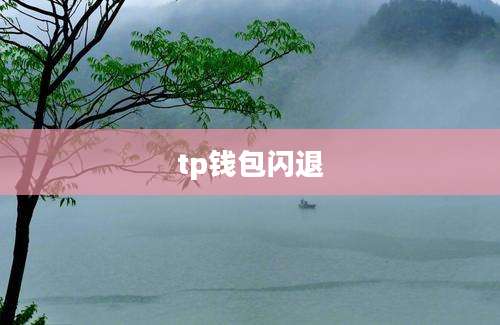 tp钱包闪退
