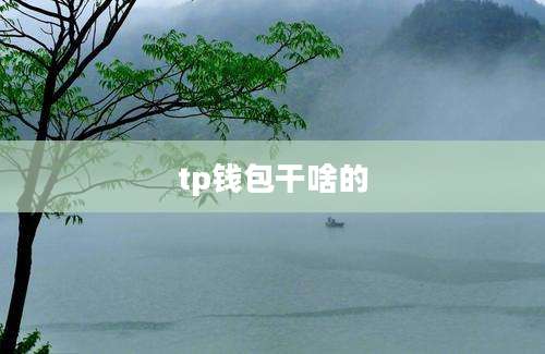 tp钱包干啥的
