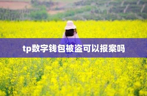tp数字钱包被盗可以报案吗