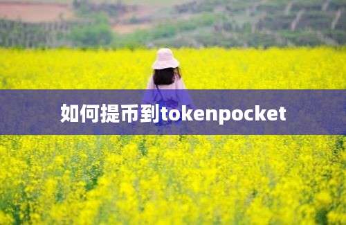 如何提币到tokenpocket