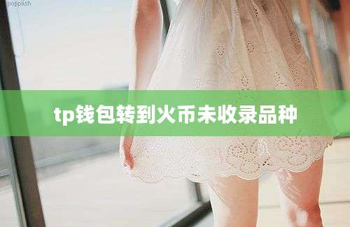 tp钱包转到火币未收录品种