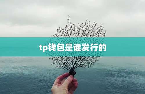 tp钱包是谁发行的