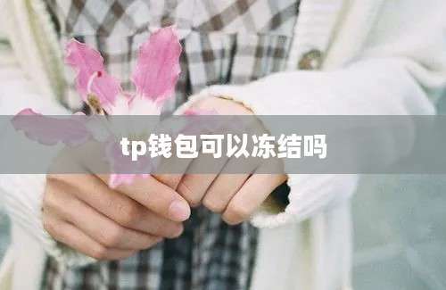 tp钱包可以冻结吗