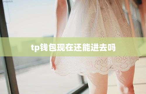 tp钱包现在还能进去吗