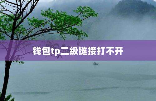 钱包tp二级链接打不开