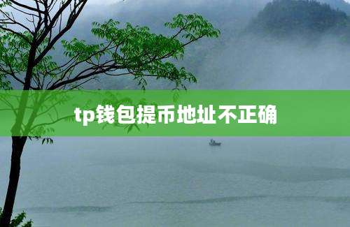tp钱包提币地址不正确