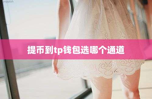 提币到tp钱包选哪个通道