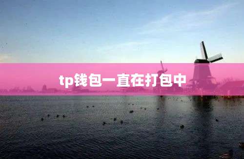 tp钱包一直在打包中