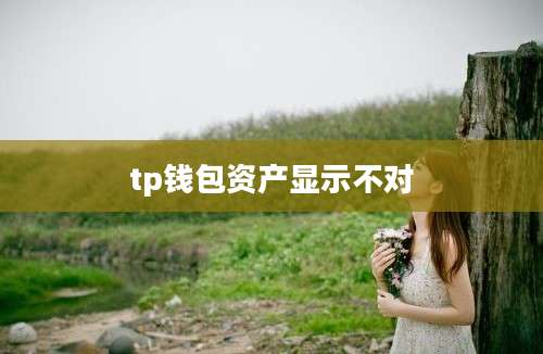 tp钱包资产显示不对
