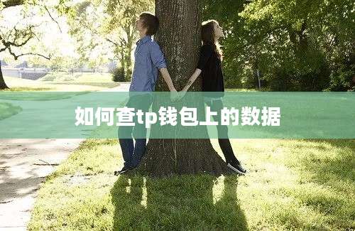 如何查tp钱包上的数据