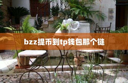 bzz提币到tp钱包那个链